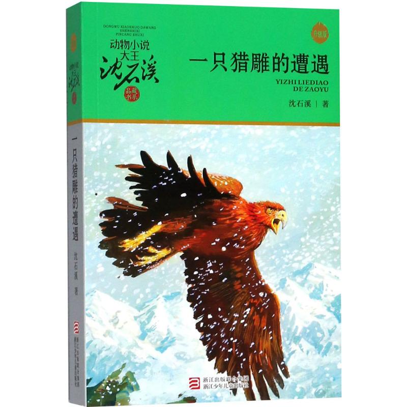 动物小说大王沈石溪：一只猎雕的遭遇