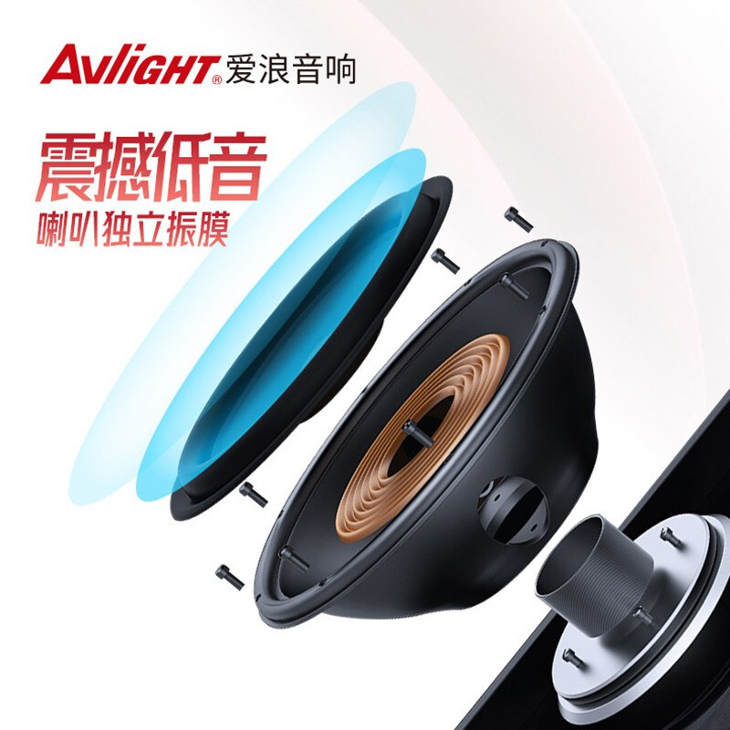 爱浪(Avlight)DT21-12广场舞音响户外移动拉杆便携式大功率直播K歌家用会议蓝牙音箱带双无线话筒