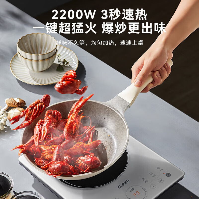 苏泊尔电磁炉 C22-IA05高清大图