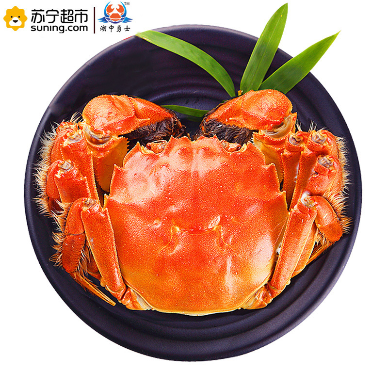 湖中勇士[鲜活现货]湖中勇士大闸蟹礼盒 公3.8-4.2两/只 母2.8-3.2两/只 4对装高清大图