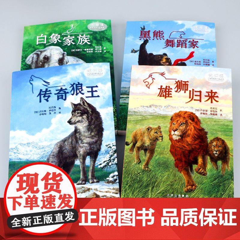 沈石溪动物小说全套4册 传奇狼王梦黑熊舞蹈家白象家族7-8-10-12-15岁儿童文学三四五六年级中小学生课外阅读书籍高清大图