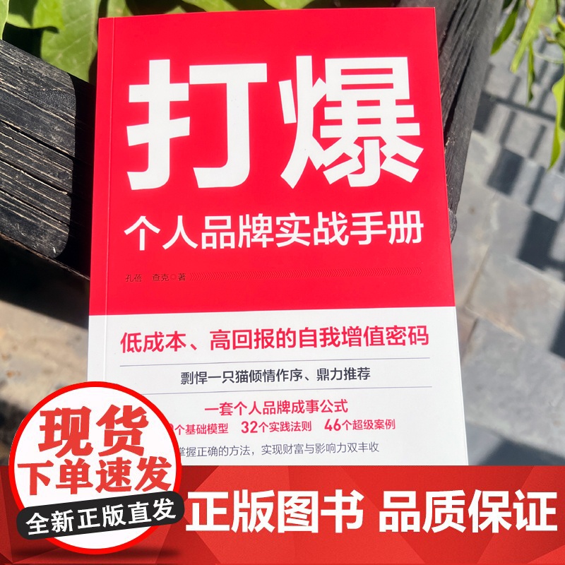 打爆 : 个人品牌实战手册高清大图