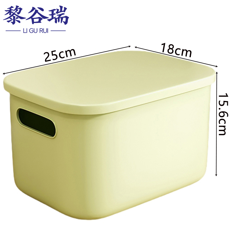 黎谷瑞收纳盒 储物箱25*18*15.6cm个
