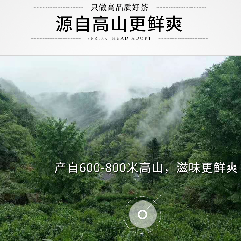 2023年新茶徽沁宏黄山毛峰黄山毛峰绿茶茶叶袋装250g*2袋
