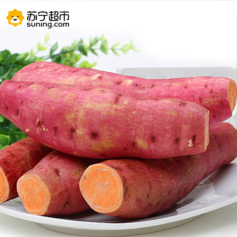 广东湛江西瓜红蜜薯红心软糯香甜无筋蜜薯5斤装