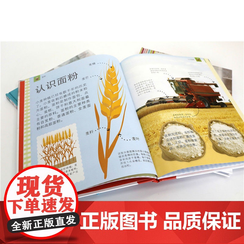 DK妈妈和我 4-8岁 英国DK公司 著 提高孩子动手能力 培养耐心 行动力 创造力和独立思考能力 智力开发高清大图