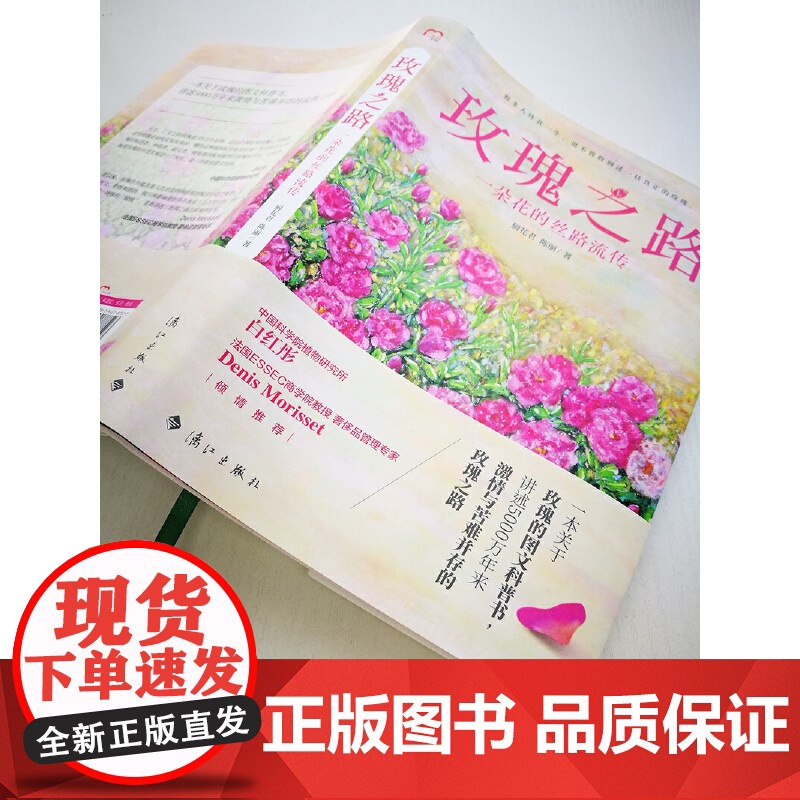 玫瑰之路:一朵花的丝路流传高清大图