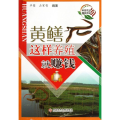 黄鳝这样养殖就赚钱