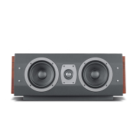 Hivi/惠威 rm600MKII 音箱一只 家庭影院家用音响套装客厅5.1木质音箱