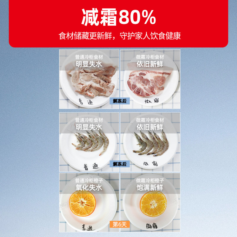 星星(XINGX) BD/BC-201KDV 201L 家用冷柜 冷藏冷冻转换 智能温控 低温速冻 微霜系统 节能省电