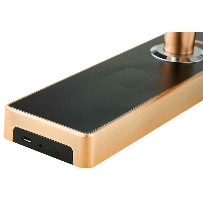 亚太天能(TENON)智能指纹锁 锌合金家用指纹密码锁电子门锁 V5s 红古铜(标准版)