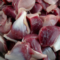 【有检疫证附调料】冷冻新鲜鸭胗2斤 新鲜生鸭珍 鸭胃生鲜鸭胗 鸭货生鲜
