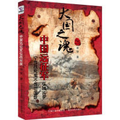 11大国之魂(一支王牌远征军的英雄史诗)22