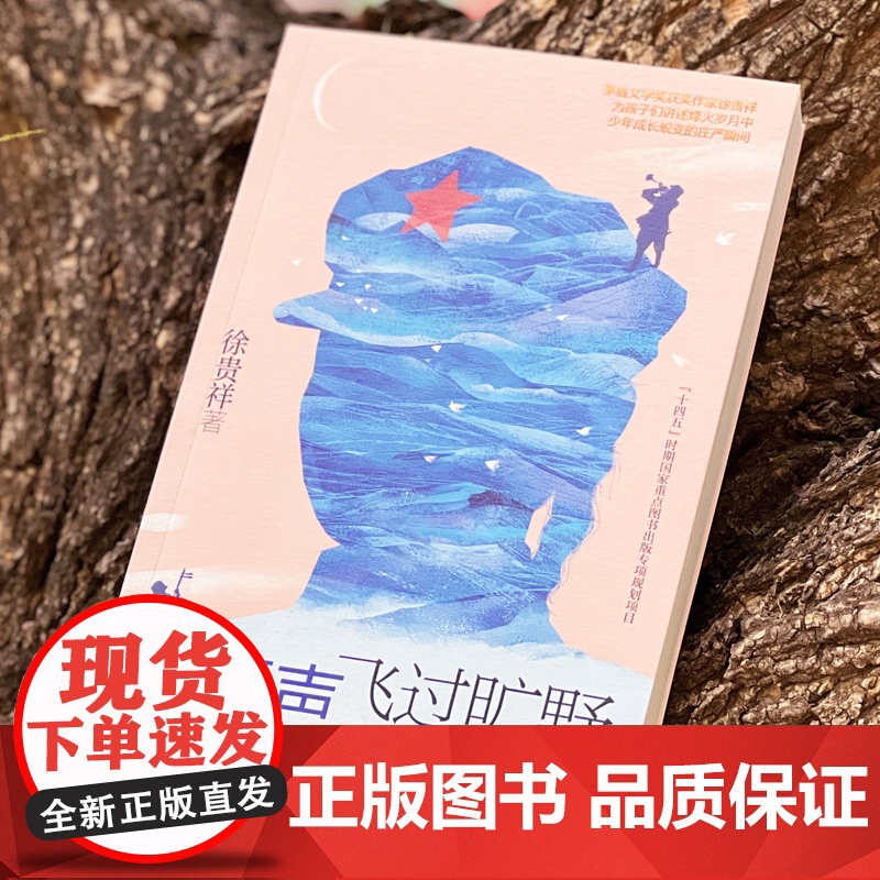 琴声飞过旷野 徐贵祥著 青少年成长励志爱国教育红色经典儿童文学故事书三四五六年级小学生阅读课外书必读老师读物明天出版社高清大图