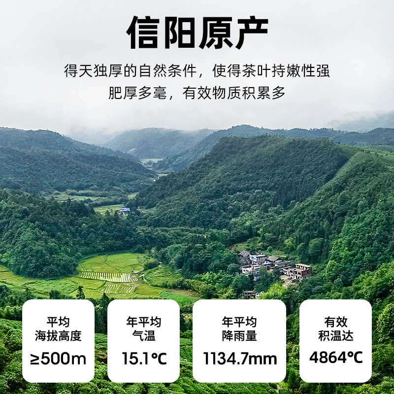 艺福堂信阳原产毛尖特级 80g/罐(氮气罐/J)