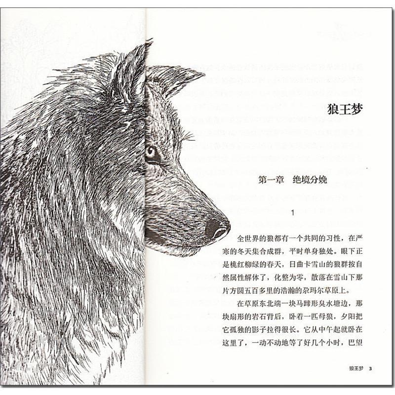 升级版沈石溪动物小说大王品藏书系狼王梦浙江少年儿童出版社中小学生