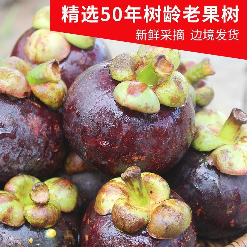 [精选级]泰国进口山竹当季新鲜热带孕妇水果油竹麻 泰国进口山竹5斤新鲜水果当季热带大整应季