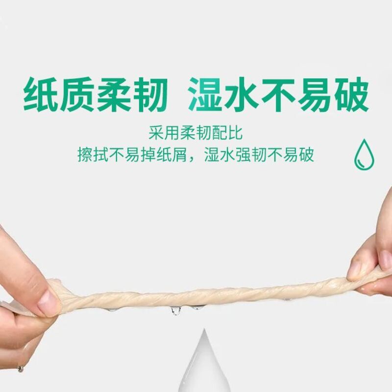 蓝欣卫生纸10包400g双灯厕纸平板纸装厕纸纸家用刀切纸高清大图