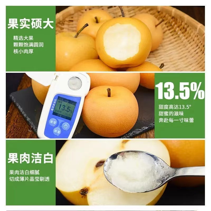 正宗秋月梨梨子5/10斤薄皮新鲜超甜孕妇水果礼盒装