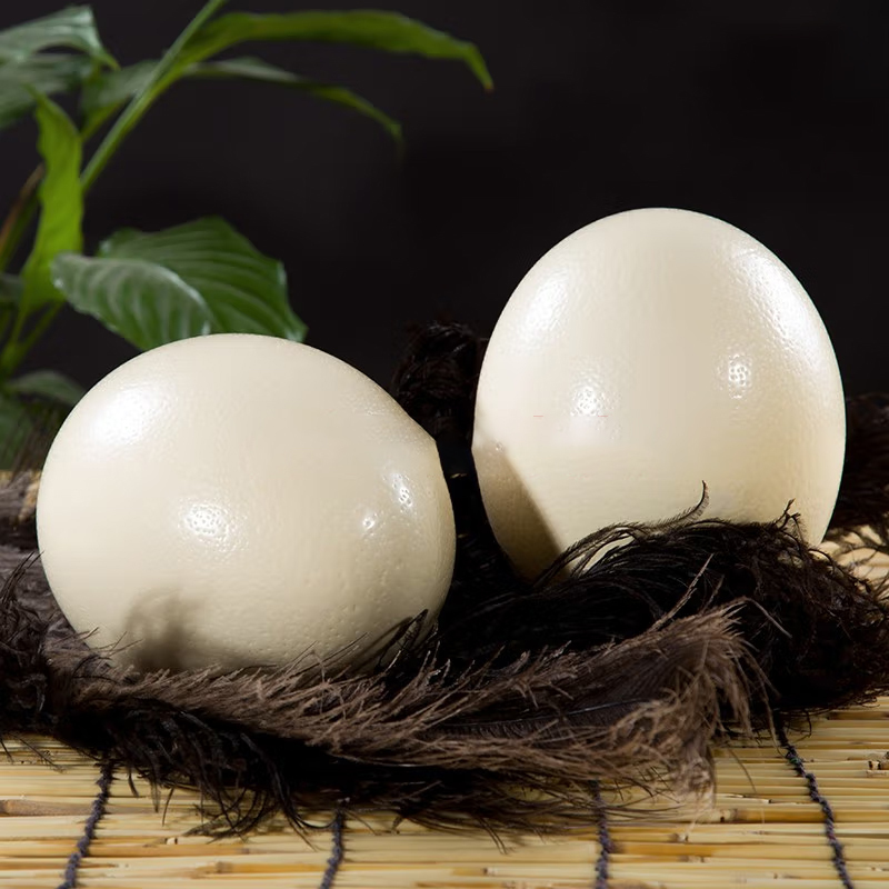 [熊猫鸟]顺丰快递 新鲜鸵鸟蛋 3斤/个 食用超大蛋可 鲜蛋送礼雕刻 大蛋高清大图