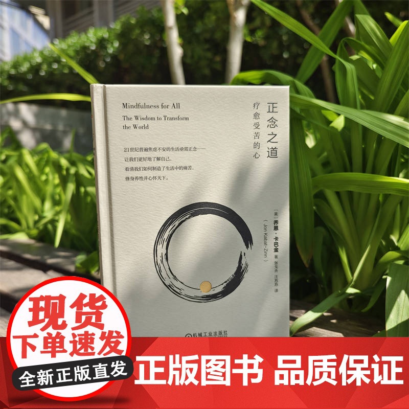 套装 正念地活+正念疗愈的力量+觉醒 在日常生活中练习正念+正念之道 全4册 机械工业出版社高清大图