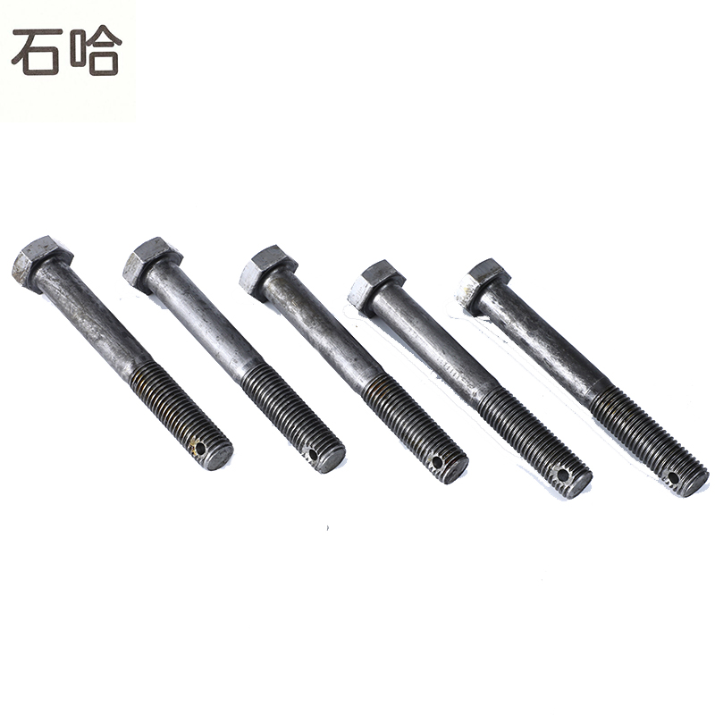 石哈外六角打孔螺栓-C级 4.8级M20*100(个)高清大图