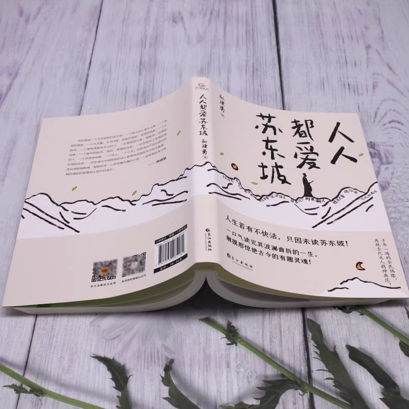 [正版] 人人都爱苏东坡 孙建勇著 初中八年级课外阅读书目历史人物名人传记 人生如逆旅幸好还有苏轼文学 苏轼自传苏东坡高清大图