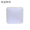 利成照明 LED吸顶灯 650×950 150W