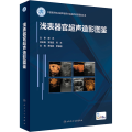 浅表器官超声造影图鉴 中国医师协会超声医师分会超声造影图鉴丛书 影像医学 甲状腺炎性病变 乳腺恶性病变 人民卫生出版社【