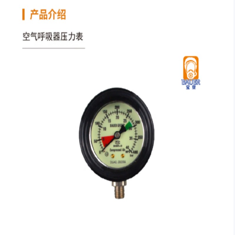 宝亚安全上海宝亚 7.01.04.019 空气呼吸器压力表 黑色高清大图