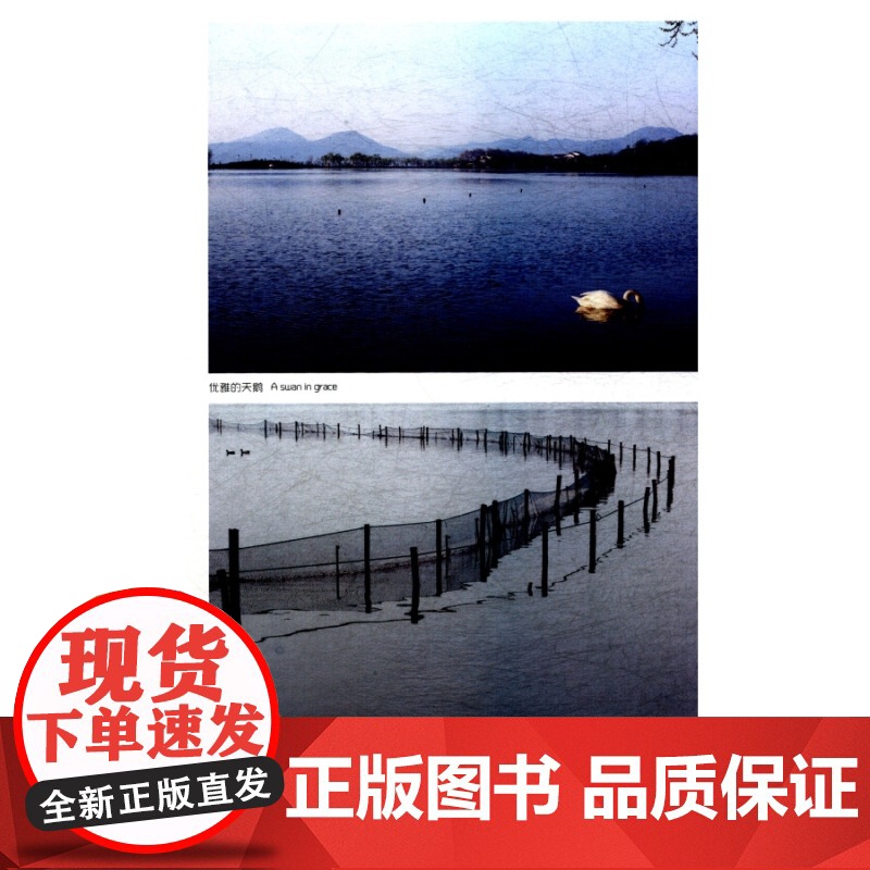 诗意西湖 潘海红摄影集上海人民美术出版社高清大图