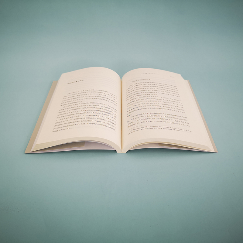 醉染图书街头的研究者 法律与社会科学笔记9787301316207高清大图