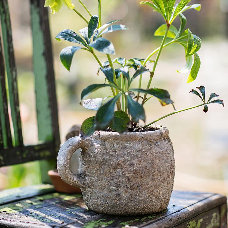 美帮汇茶缸造型花盆花器复古多肉植物粗陶红陶兰花透气陶土盆 茶缸花瓶(小号)高清大图