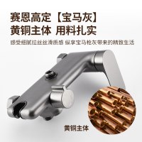 SEREN HOME 赛恩卫浴淋浴花洒套装增压喷枪浴室洗澡喷头莲蓬头黄铜沐浴套装枪灰色黑色