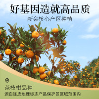 北京同仁堂陈皮泡茶广东新会陈皮泡水老陈皮干泡茶陈皮片40g/盒