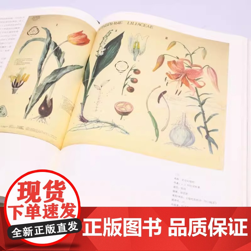 [央视网]植物挂图 科学发展黄金阶段的艺术 120余幅精美挂图 解读多姿多彩的植物世界 精巧描绘植物生命的奥秘 HW高清大图
