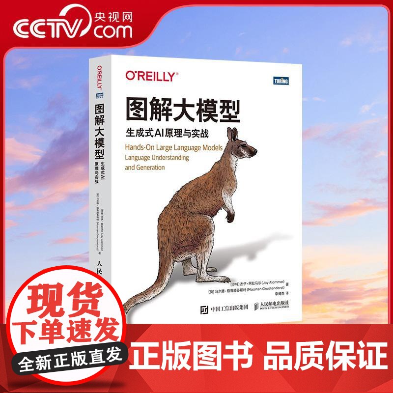 【央视网】图解大模型 生成式AI原理与实战 全程图解式讲解大模型 300幅精美插图大量代码示例配套面试题覆盖DeepSe