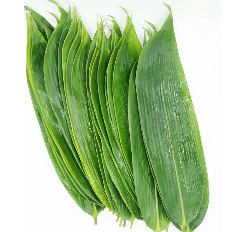 新鲜粽叶竹叶包粽子的大粽子叶大叶真空包装棕叶子50片批发