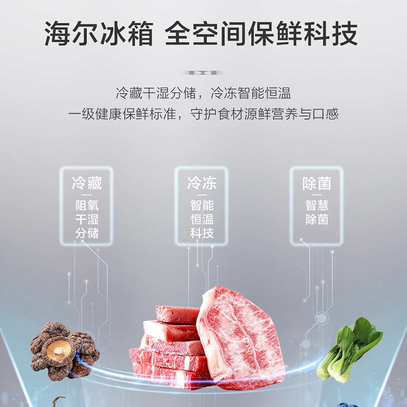 海尔(Haier)519升十字对开门超薄冰箱 全空间保鲜 阻氧干湿分储 EPP超净 BCD-519WGHTD1BGTU1