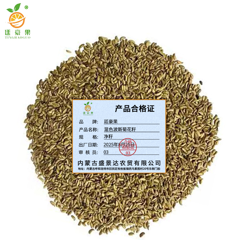廷豪果 混色波斯菊花籽 波斯菊种子 净籽 /千克高清大图