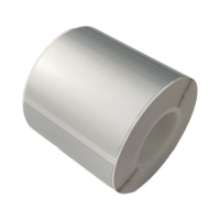 驰洛科 CLBQ5060SR 50mm*60mm 标签纸 250张/盒 (计价单位:盒) 银色