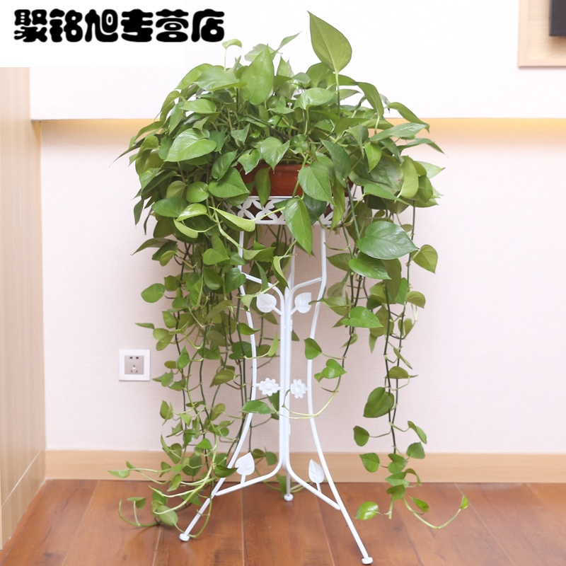 欧式铁艺花架多层落地式阳台客厅兰绿萝花架子室内花盆架子家居家用简约时尚多功能收纳架