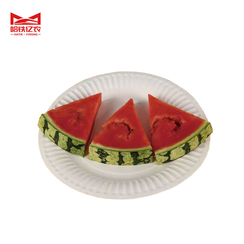 哈铁亿农 一次性餐盘纸浆餐盘可降解 6寸 50个/包高清大图