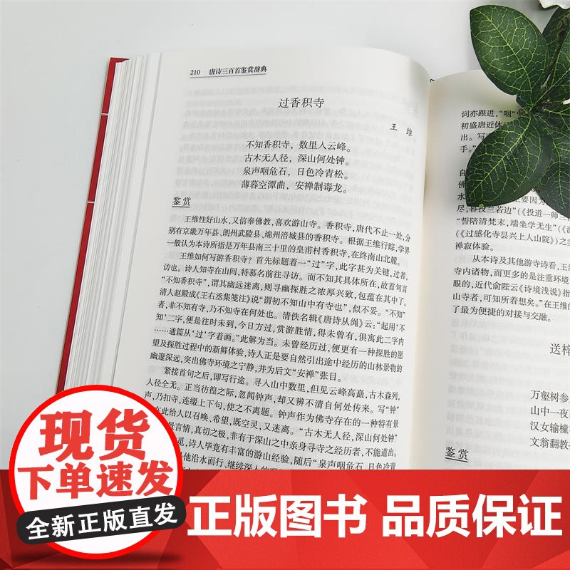 唐诗三百首鉴赏辞典高清大图