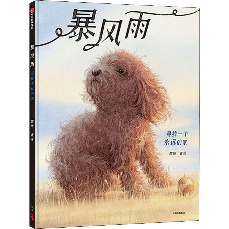 醉染图书暴风雨 寻找一个永远的家9787521710946