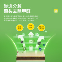 仁和除甲醛凝胶喷雾清除剂新房用去除喷雾强力型去异味凝胶家具油漆神器车用915