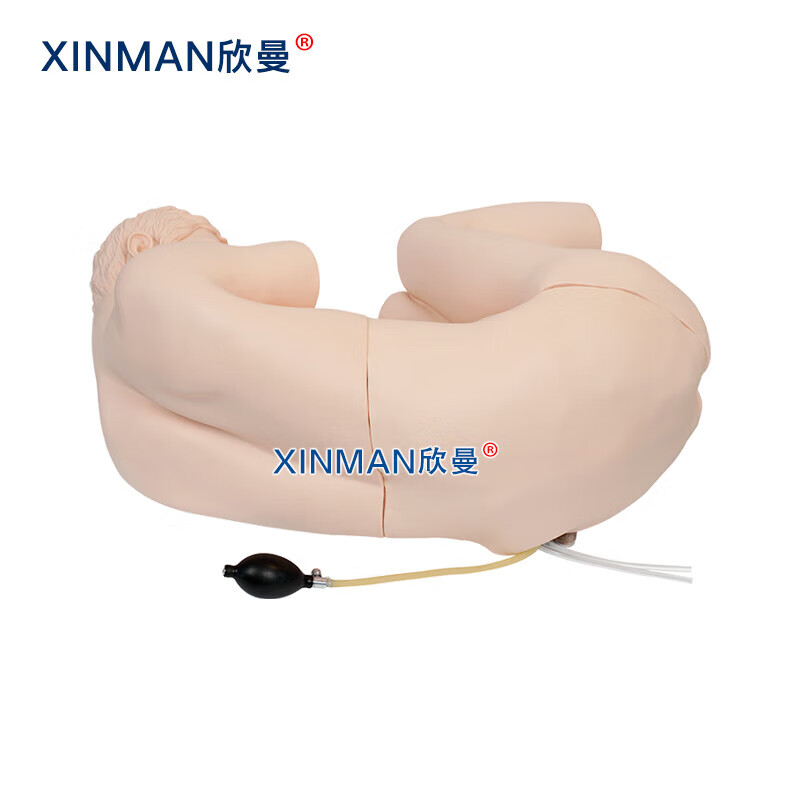 欣曼科教 腰椎穿刺模拟人 腰椎穿刺训练模型 教学实验用XM-YC01高清大图