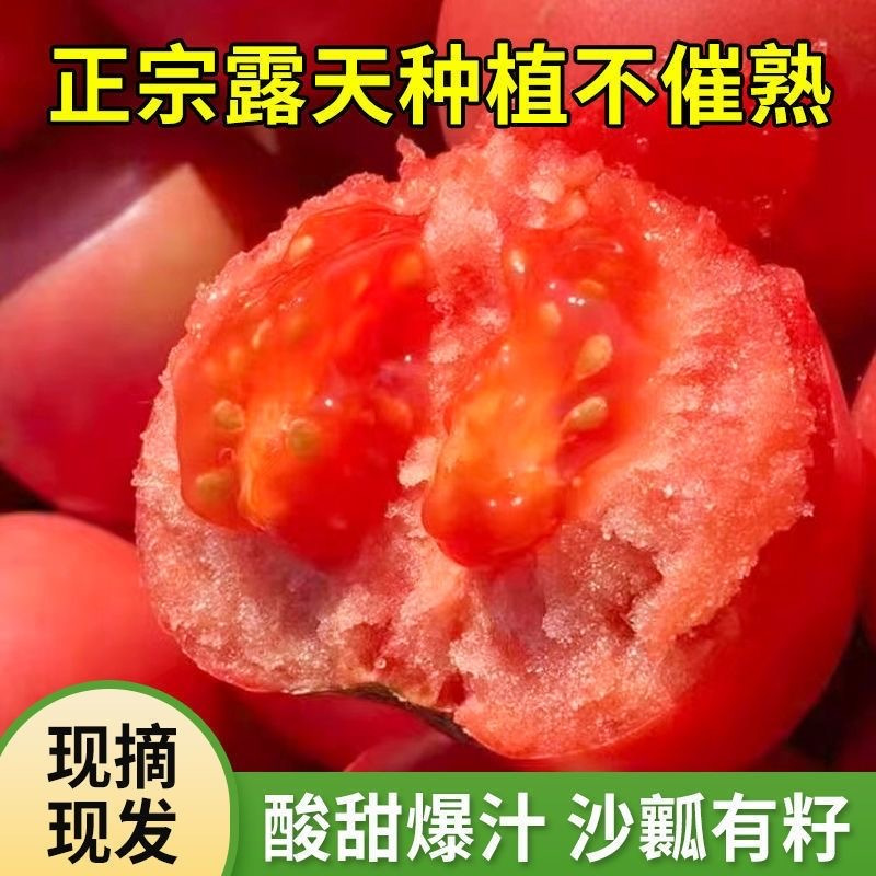 嘉琪果果 山东普罗旺斯西红柿番茄礼品装 5斤
