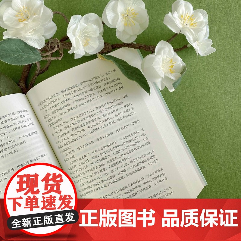 平凡的世界普及本 路遥 茅盾文学奖 初中高中学生七八九年级初一二三高一二三课外阅读 新经典爱心树书籍高清大图