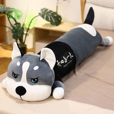 圆眼[开心每一天] 全长约80厘米(独立内胆 可拆洗) 可爱哈士奇毛绒玩具长条抱枕公仔布娃娃玩偶二哈狗狗生日礼物女生